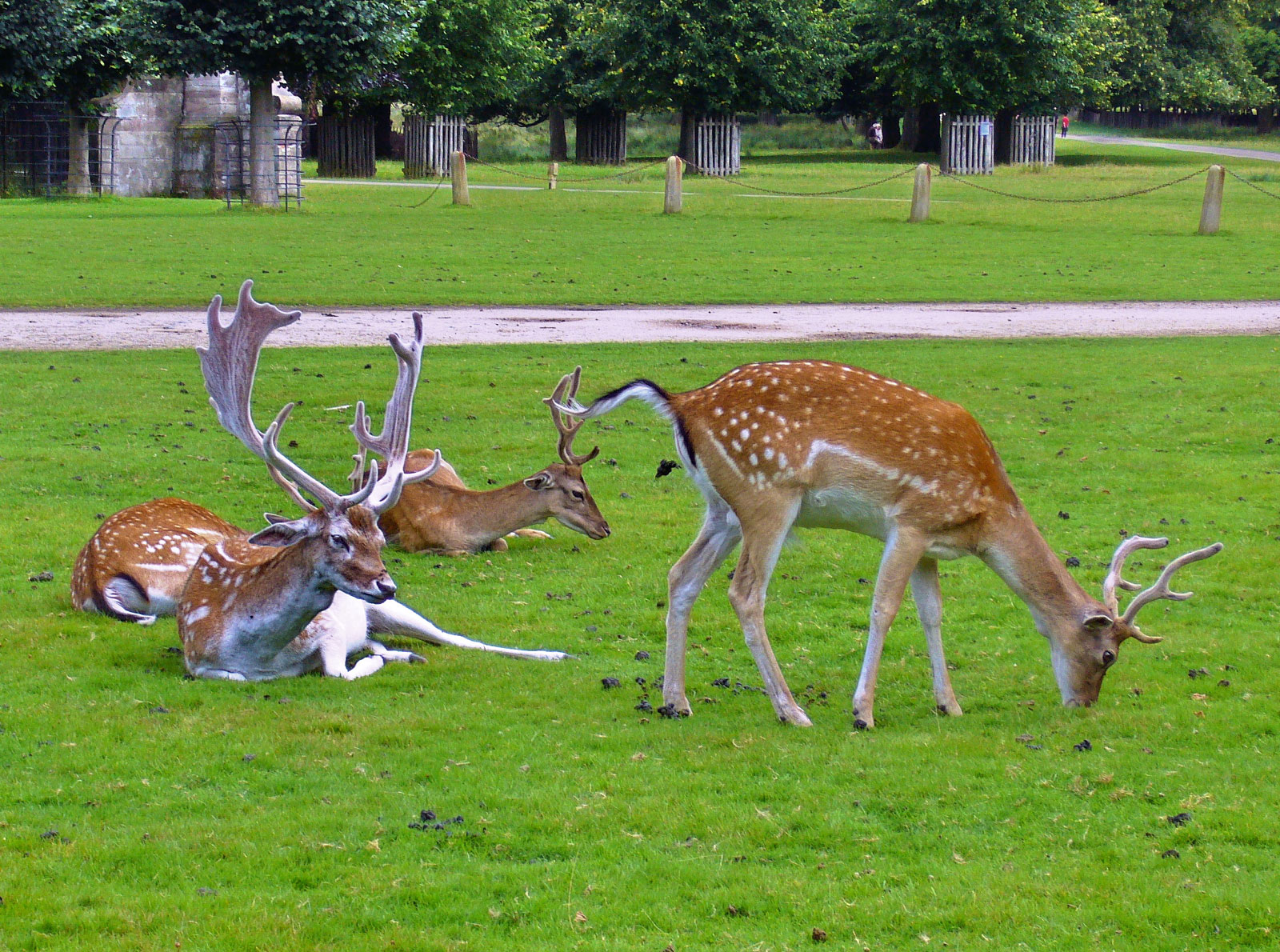 Dunham Massey